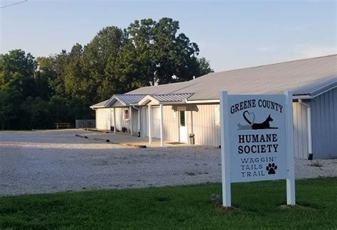 Greene county humane society - The Greene County Animal Farm - No-Kill shelter, Paragould, Arkansas. 8,522 likes · 13,704 talking about this · 70 were here. The Greene County Animal Farm is a no-kill animal shelter. We are a...